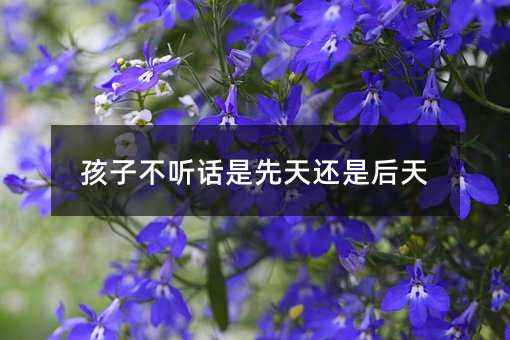 孩子不听话是先天还是后天