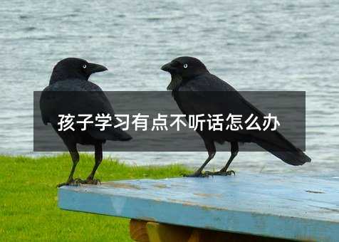 ѧϰе㲻ô