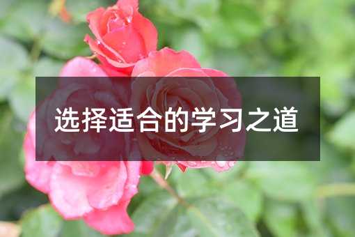选择适合的学习之道