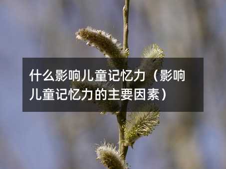 什么影响儿童记忆力
