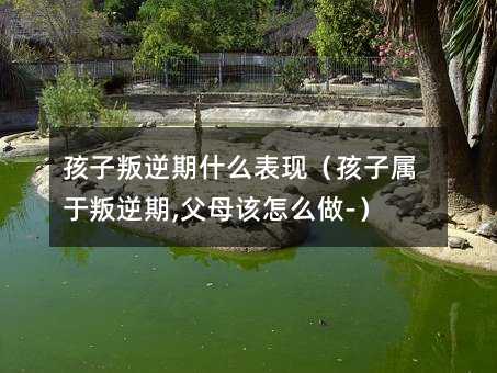 孩子叛逆期什么表现(孩子属于叛逆期,父母该怎么做-)