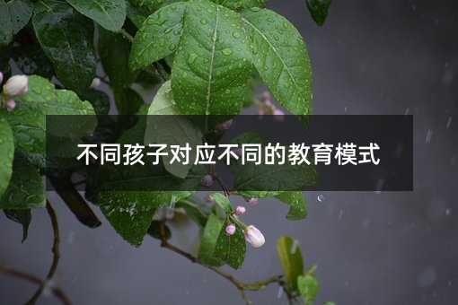不同孩子对应不同的教育模式