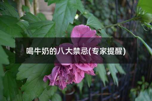 喝牛奶的八大禁忌(专家提醒)