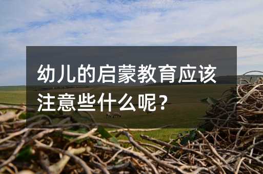 幼儿的启蒙教育应该注意些什么呢?