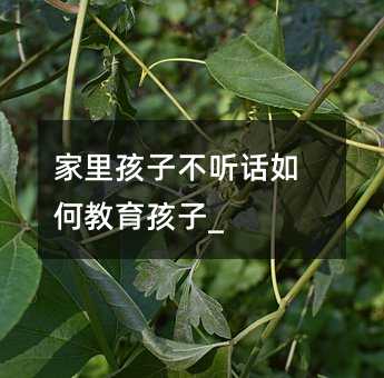 家里孩子不听话如何教育孩子_
