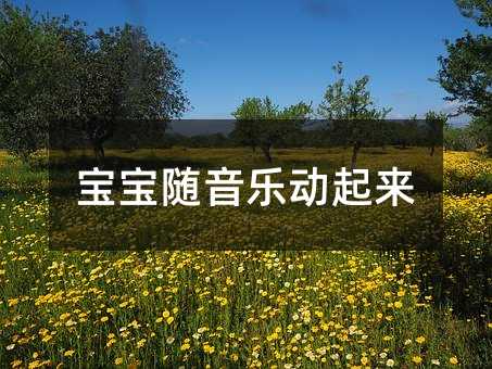宝宝随音乐动起来