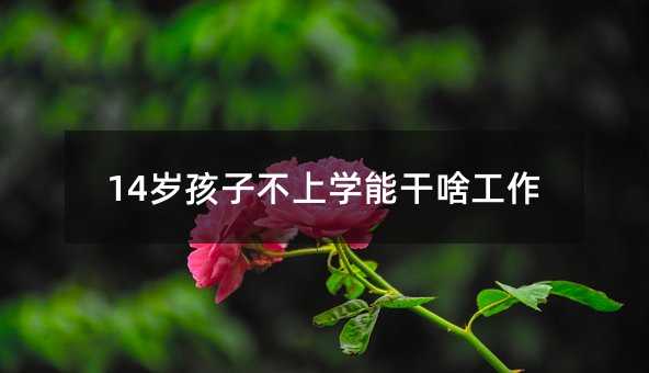 14岁孩子不上学能干啥工作