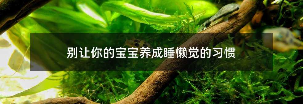 别让你的宝宝养成睡懒觉的习惯