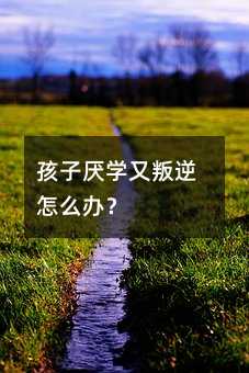 孩子不想上学又不听话如何解决？