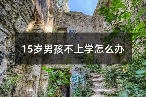 15岁男孩不上学怎么办