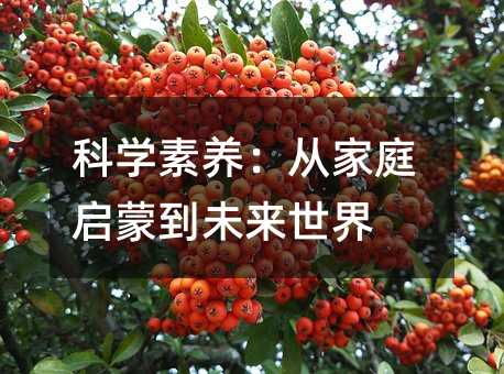 科学素养:从家庭启蒙到未来世界