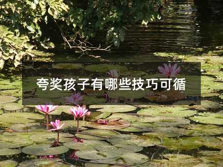 夸奖孩子有哪些技巧可循
