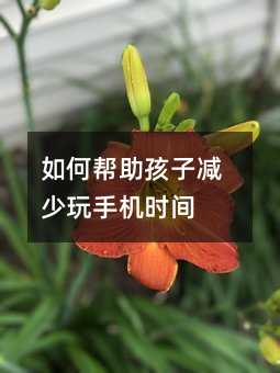 ΰӼֻʱ