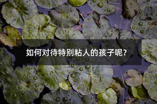 如何对待特别粘人的孩子呢?