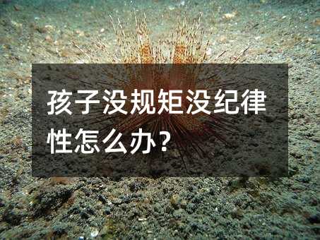 孩子没规矩没纪律性怎么办?
