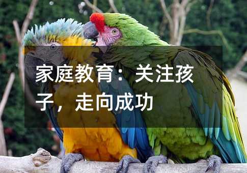 家庭教育:关注孩子,走向成功