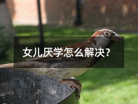 女儿厌学怎么解决?