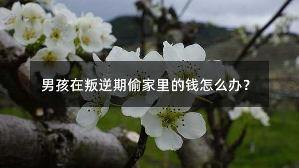 к͵Ǯô죿