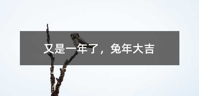 又是一年了,兔年大吉