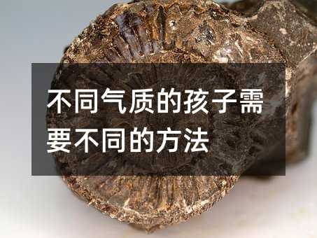 不同气质的孩子需要不同的方法