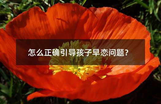 怎么正确引导孩子早恋问题?