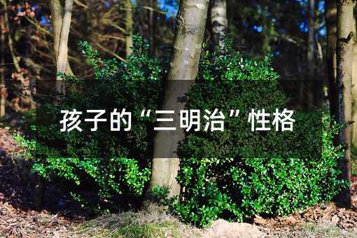 孩子的“三明治”性格