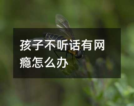 孩子不听话有网瘾怎么办