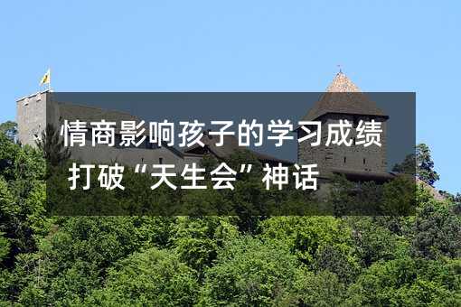 情商影响孩子的学习成绩 打破“天生会”神话
