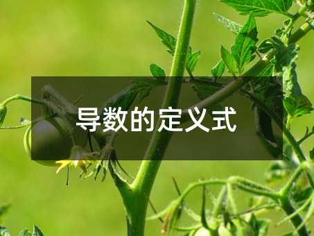 导数的定义式