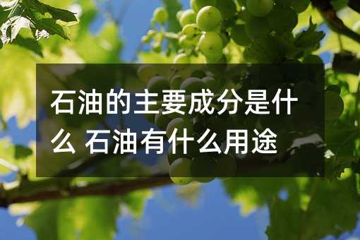 石油的主要成分是什么 石油有什么用途