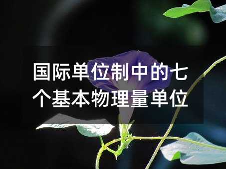 国际单位制中的七个基本物理量单位