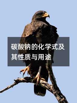 碳酸钠的化学式及其性质与用途