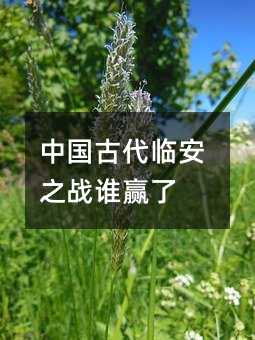 中国古代临安之战谁赢了