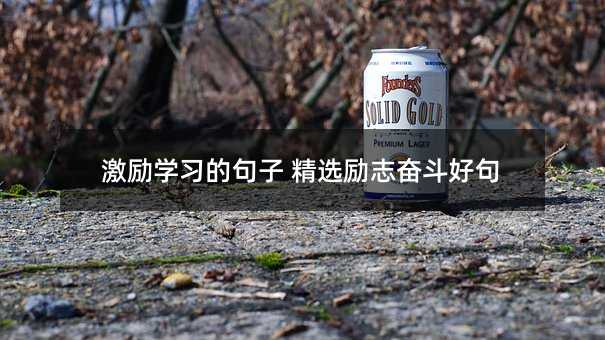 勉励学习的句子 甄选励志奋斗好句