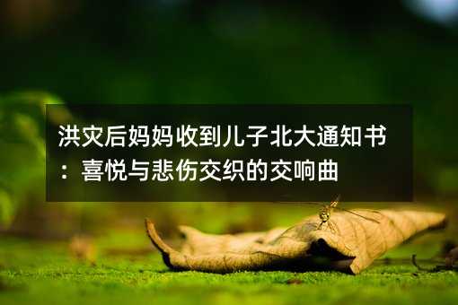 洪灾后妈妈收到儿子北大通知书:喜悦与悲伤交织的交响曲