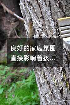 良好的家庭氛围直接影响着孩子的心理素质