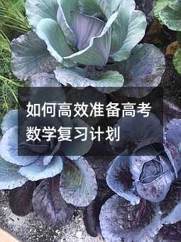 如何高效准备高考数学复习计划