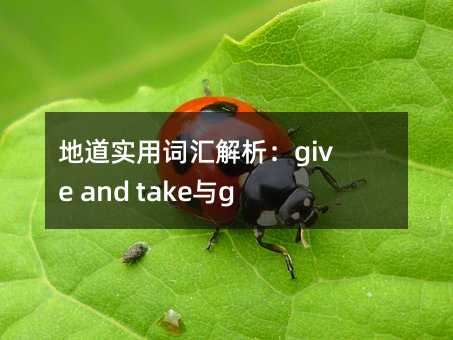 地道实用词汇解析:give and take与give or take