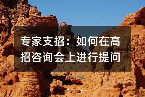 专家想办法：怎么样在高招咨询会上进行提问