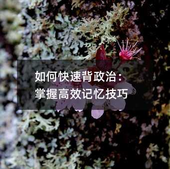如何快速背政治:掌握高效记忆技巧