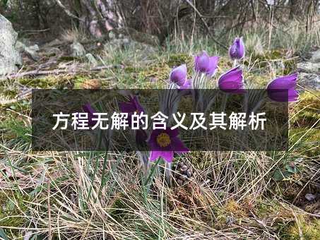 方程无解的意思及其分析