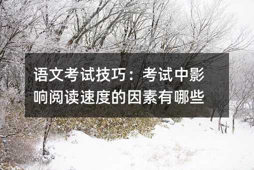 语文考试技巧:考试中影响阅读速度的因素有哪些