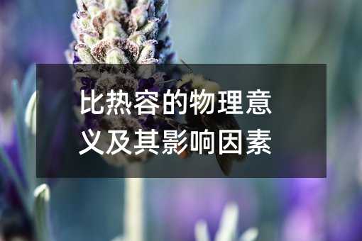 比热容的物理意义及其影响因素