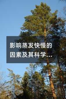 影响蒸发快慢的因素及其科学原理