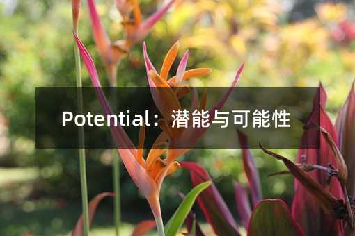 PotentialǱ