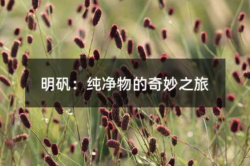 明矾:纯净物的奇妙之旅
