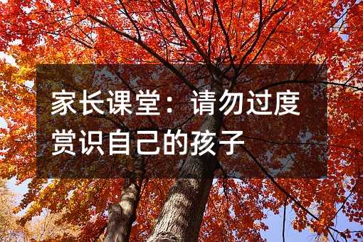 父母课堂：请不要过度赏识我们的孩子