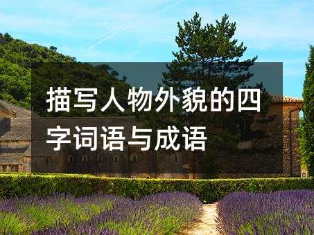 描写人物外貌的四字词语与成语