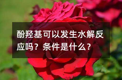 酚羟基可以发生水解反应吗?条件是什么?