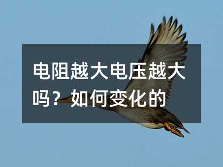 电阻越大电压越大吗?如何变化的